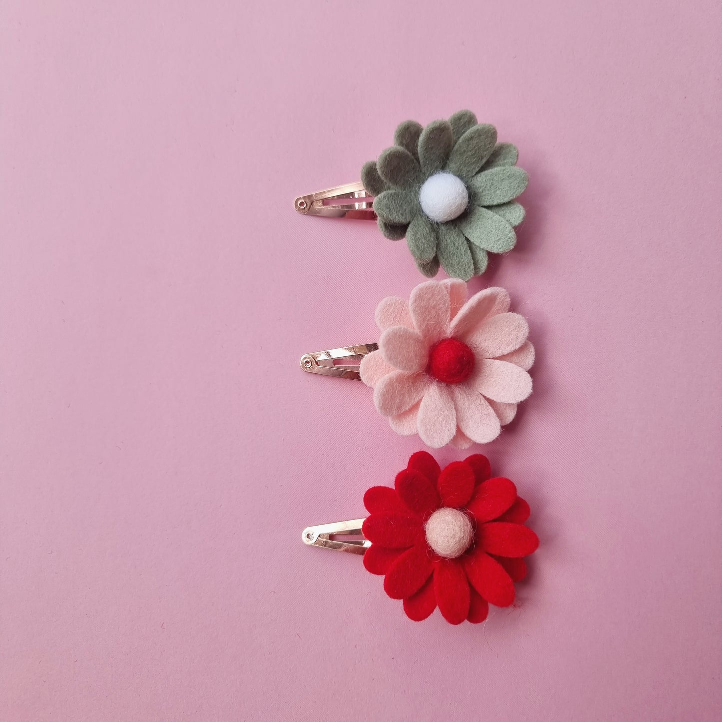 Christmas daisies
