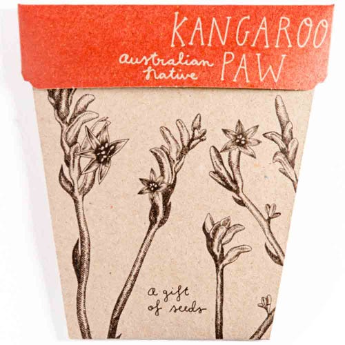 Gift Of Seeds ~ Kangaroo Paw