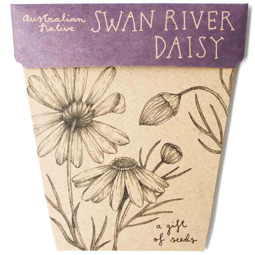 Gift Of Seeds ~ Swan River Daisy