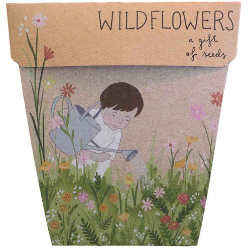 Gift Of Seeds ~ Wildflowers