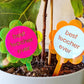 Acrylic Petal 'Best Mother Ever' plant stake