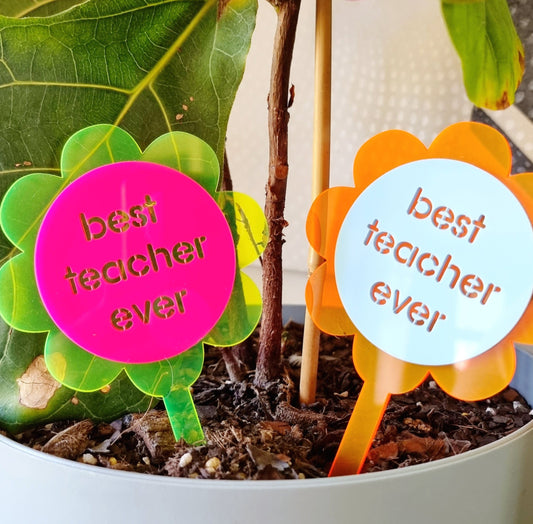 Acrylic Petal 'Best Mother Ever' plant stake