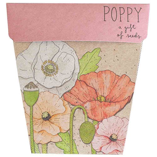 Gift Of Seeds ~ Poppy