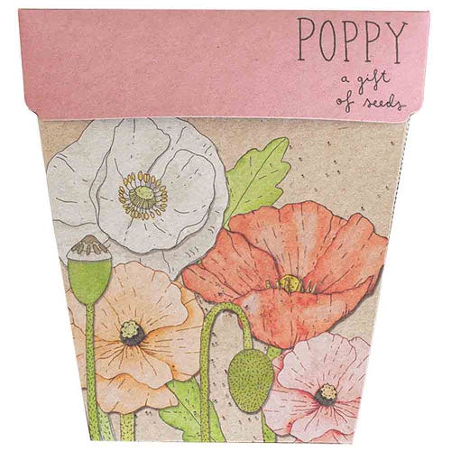 Gift Of Seeds ~ Poppy