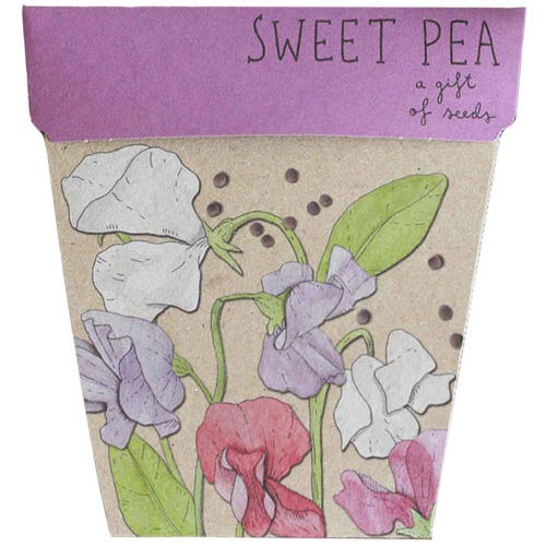 Gift Of Seeds ~ Sweet Pea